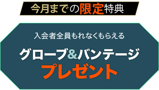 限定特典